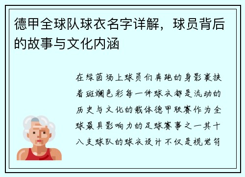德甲全球队球衣名字详解，球员背后的故事与文化内涵